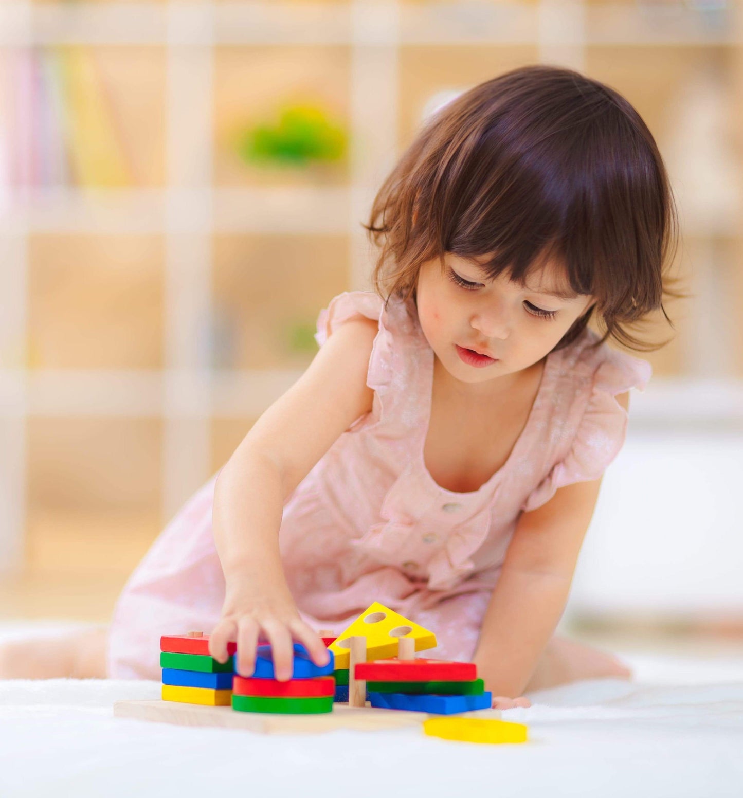 Plantoys - Geometric Sorting Board