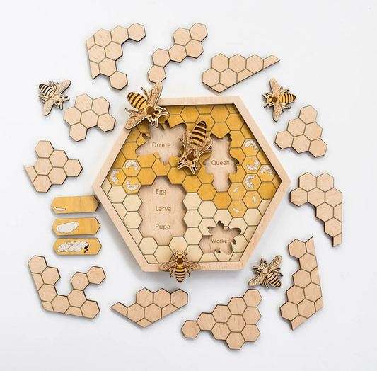 Montessori - Wooden beehive puzzle