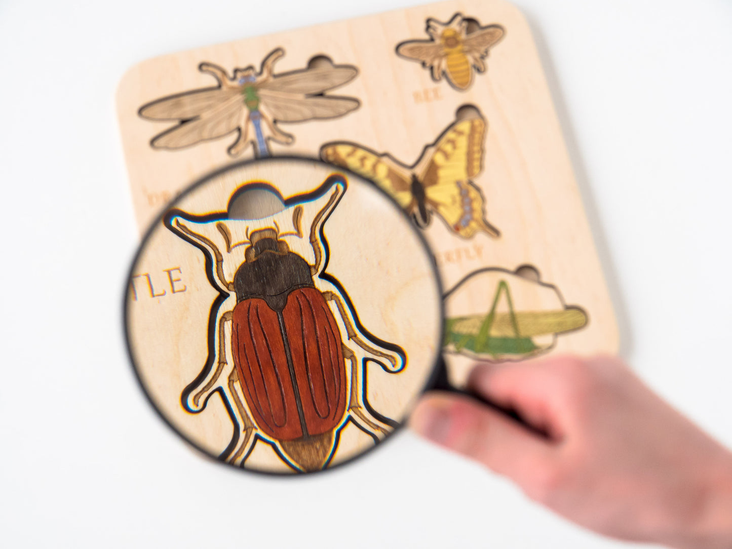 Montessori - Wooden Insect puzzle ***Pre-Order***