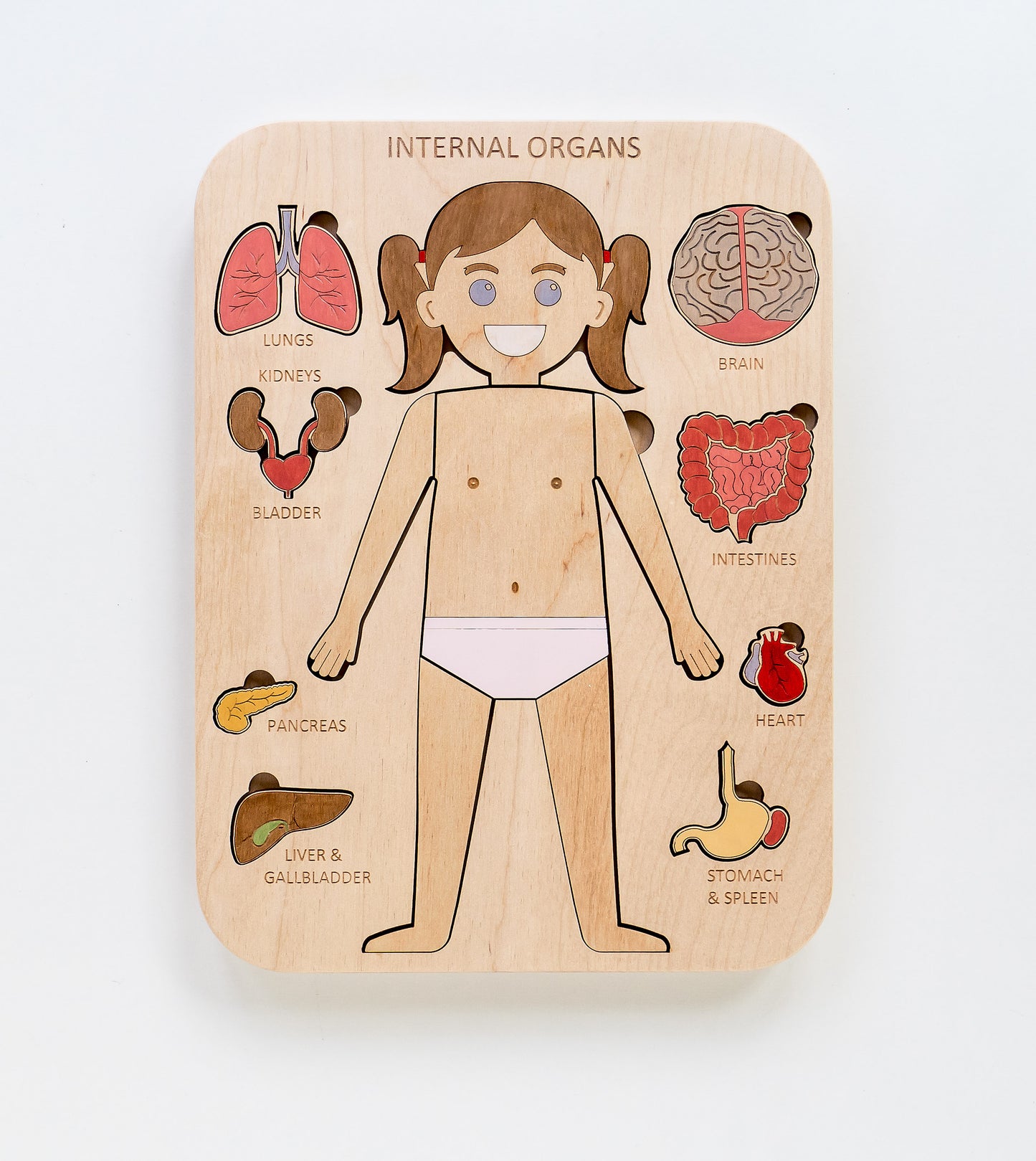 Montessori - Human body Internal organs (Girl)