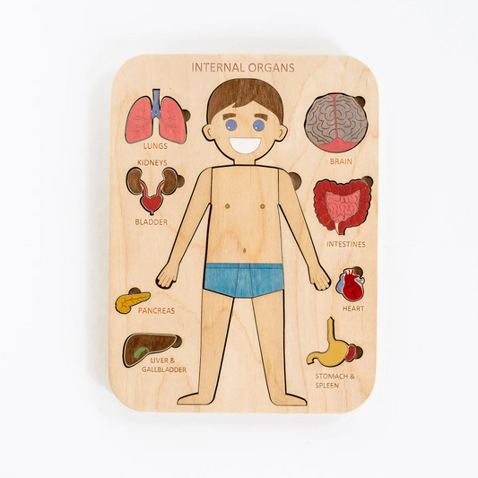 Montessori - Human body puzzle Internal organs (Boy)