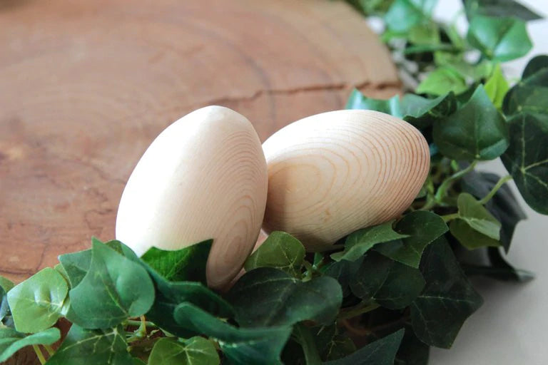 Egg Shakers
